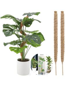 1PCS Plant Cages Supports Reusable Plant Climbing Stand Durable Flower Plants Support For Balcony Garden Courtyard Easy To Use