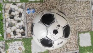 Bóng đá Paledas PVC khâu tay