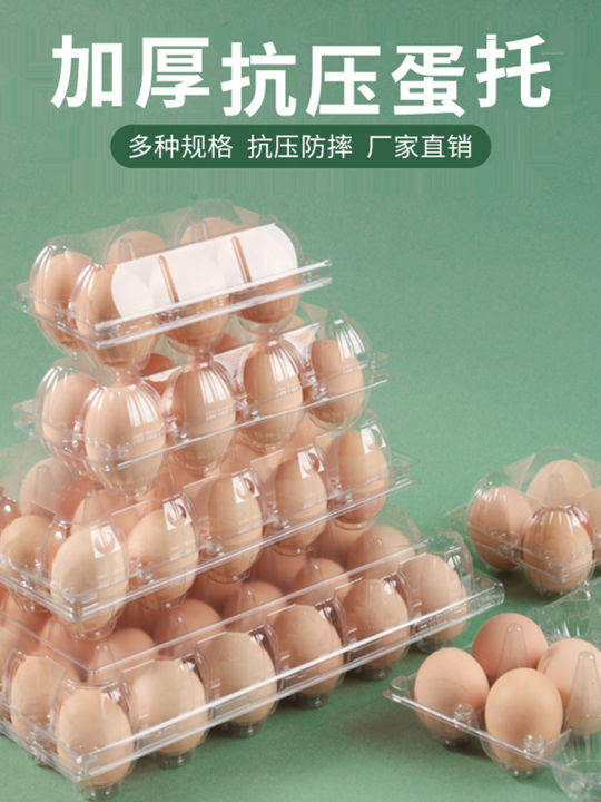 Hộp Đựng Trứng Nhựa Dùng Một Lần Trong Suốt Nhiều Kích Cỡ Hộp Đựng Đồ ...