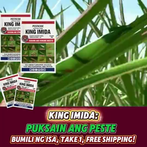 [COMBO HOT] King Imida 100g - Smart Ways To Protect Your Farm Crops: Sustainable Solutions For Managing Sucking Insects!