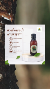 Mix หัวเชื้อเร่งน้ำยางพารา ขนาด 100 ml. แพ็ค 2 ขวด เพิ่มปริมาณน้ำยางพารา ช่วยการไหลน้ำยางพารา