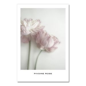 BILIBILI | Posters Black And White Flower Print Fresh Wall Art Feather Dandelion Pictures Canvas Living Room Decoration Wall Paintings