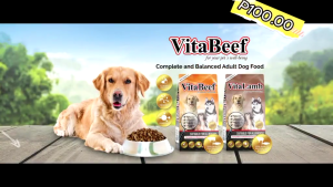 10kg Vita Lamb Vita Beef Vitalamb Vitabeef Dry Food Dogs Dog All Stages Adult Puppy