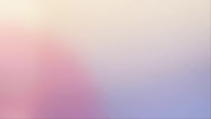 Nhà phân phối vòi tưới vườn   Bộ chuyển hướng vòi bằng đồng với đệm cao su và đầu nối vòi   đầu nối ống nước