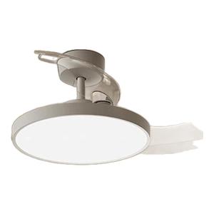 Miui | Smart 42 Inch Ceiling Fan Light