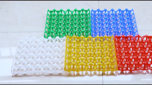 Egg Tray Plastic Bekas Telur Egg Storage Box Sarang Telur Tray Telur Plastik Bekas Telur Ayam 30 biji Tray Telur Ayam
