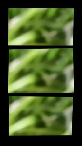 Filling Coklat Tulip 250g: Panduan Lengkap