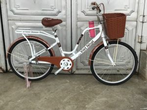 XE ĐẠP CAO CẤP VIỆT NHẬT 24-26INH( TẶNG BÌNH NƯỚC)