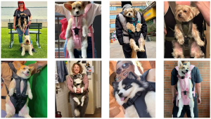 Teeker Pet Dog Carrier Bag for Motorcycle Front Bag Puppy Carrier Outdoor Backpack Affordable Carrier Bag Durable Washable Dogs accessories