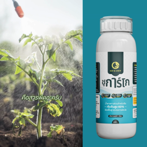 (1ขวด) ขนาด 1000 ml - Sugar Go (ชูการ์โก) น้ำตาลซอร์บิทอล(Sorbitol) ปุ๋ยน้ำ พลังงานทางด่วนสำหรับพืช