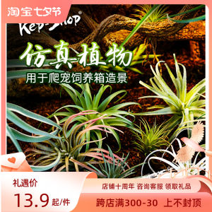 Desert Rainforest Artificial Plants Lizard Tortoise Chameleon Reptile Breeding Box Decoration High Simulation Green Plant