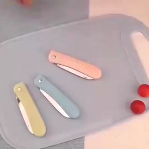 Pisau Lipat Stainless & Pisau Buah Dapur Tajam