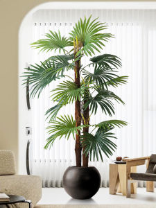High-quality Luxury Spindle Palm Indoor Decorative Plant