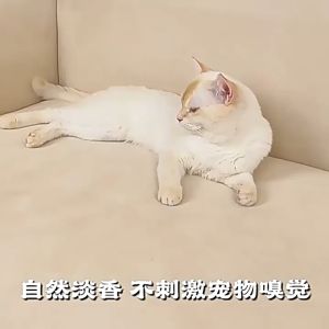 【กำจัดกลิ่นที่ต้นตอ】ดับกลิ่นแมว กำจัดกลิ่นสุนัข กําจัดกลิ่น ขจัดกลิ่นได้อย่างมีประสิทธิภาพ ใช้ได้ทั้งคนและสัตว์ Pet Deodorization