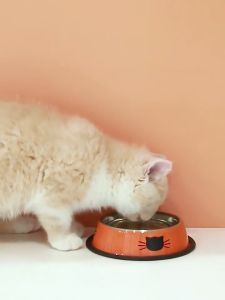 Stainless Steel Anti-slip Pet Bowl Food Water Dog Cat Rabbi Non Slip Food Feeder Dish Mangkuk Kucing