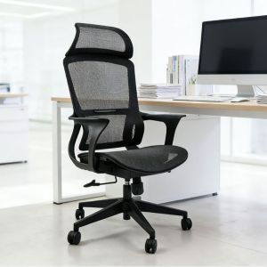 Ergonomic Adjustable Chair