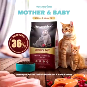 Pawminent 1KG Repack Holistic( Mother & Baby/Hair & Skin/Awesome Mix) Cat Dry Food /Makanan Kucing猫粮干粮