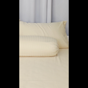 Ann Taylor Luminous Comforter Set - 890TC | Super Soft Yarn | Breathable & Anti-Static (Super Single / Queen / King)