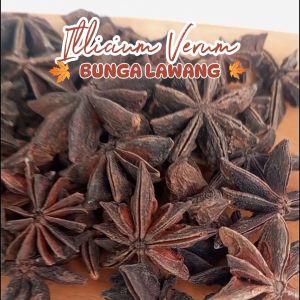 BUNGA LAWANG / STAR ANISE / PEKAK uk. Sachet non Bubuk Praktis Hemat 100% ASLI REMPAH ALAMI JSR