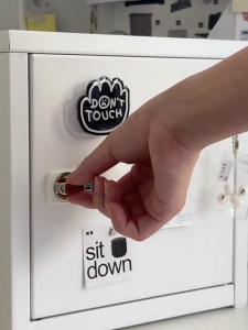 Small Metal Storage Cabinet with Lock Combination for Office Bedroom Password Lock Security
