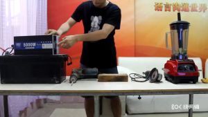 Bộ kích điện inverter 1600W sin chuẩn 12V 48v lên 220V