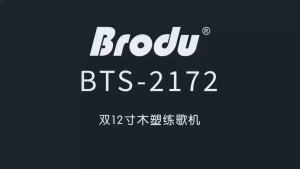 BTS-2172 4500mAh Karaoke Portable Speaker Rgb Light Double 200W Subwoofer Party Speaker with 12 Inch