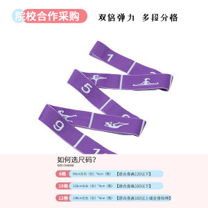 Dance Elastic Band Ballet Latin Dance Pulling Rope Kids Adult Yoga Segment 12 Grid 10 Segment Stretch Band Digital Belt