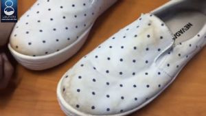 ALAT CATOK CATOKAN GANJAL PENGGANJAL PENYANGGA PENGASAK PEMBESAR SEPATU SNEAKER PANTOFEL KETS WEDGES SPORTS BASKET FUTSAL PRIA WANITA SPRING SHOE SHOES SHAPER TREE SADDLE EXPANDER STRETCHER ADJUSTABLE UNIVERSAL ALLSIZE MURAH KUAT ANTI PENYOK KERUT PECAH