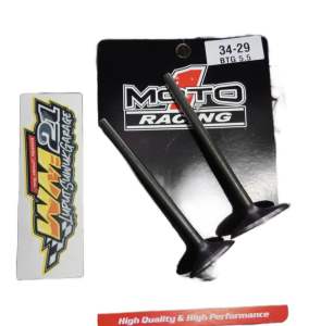 Klep Payung Klep racing Moto 1 motor BATANG 55 ukuran 29 - 34 29/34
