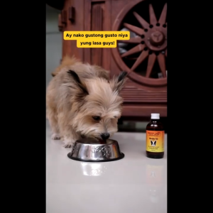 Vet Core + Ultravet TLC Vitamins for Dogs and Cats 120ml | Vetcore+ | Auvero Collections