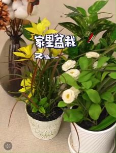 ชั้นวางต้นไม้ Modern บันสแตนเลส ชั้นวางกระถาง ไม่ผู้ถือสวนบอนไซแสดงการจัดเก็บตกแต แข็งแรง ดิเบนร์ 2 ประกันสุขภาพ เสริมสร้างสร้างการซึ่งงานสวย