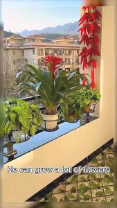 PRADO MALAYSIA 22cm Balcony Plant Hanging Basket Flower Pot Holder Hanger Fence Planters Assemble Outdoor Plant Baskets Rak Pasu 花盆架