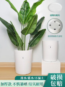 Flower Pot For Home Scandinavian Resin Minimalist Small Plastic Flower Pot Large Living Room Green Mountain Pot Green Radish Phalaenopsis Pot Pot