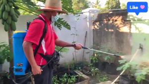 (Twin Pump) Ogawa 20L Knapsack Battery Sprayer Pump SDB20 | Double Pump | Pam Racun Bateri Turbo | Mist Sprayer