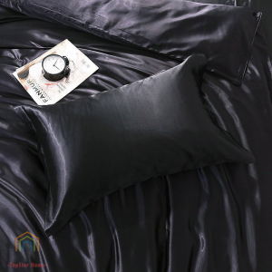 Topstar Luxury 2pcs Satin Pillow Case Silk Pillowcase Cover Hypoallergenic Smooth Plain 18X28 inch with Envelope Closure