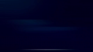 LCD+TS VIVO Y93/Y91/Y91C/Y95 BLACK ORG POZI