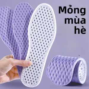 XIANZHAO | Miếng lót giày chống mùi mùa hè cho nữ thấm hút mồ hôi thoáng khí loại nhỏ chống trượt không gian trống cho bàn chân trần