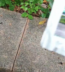 【COD】ซีลแลนท์ซ่อมกันน้ำรอยแตกคอนกรีต 500g สำหรับ รอยแตกร้าวบนพื้นและกลางแจ้ง กาวซ่อมแซมช่องว่าง อิฐและกระเบือง กาวยาแนวสำเร็จ ยาแนวชักโครก ยาแนวกระเบื้อง กาวยาแนวกันน้ำ ใช้งานง่าย