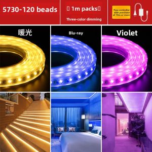 JINFI | 3-Color Adjustable LED Strip Light 220V Waterproof
