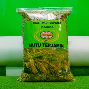 Benih padi jepang japonica super unggul 1 kg