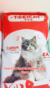 20kg Toei Cat All Stages Adult Kitten Dry Food Toeicat Cats Balanced Bites All Breed Pet Meal