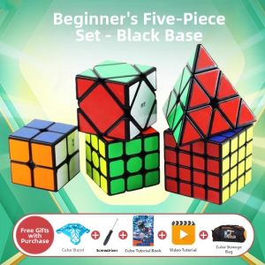 QY TOYS | IQ Puzzles and Magic Cubes Set