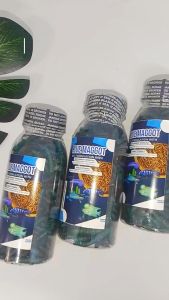 Kemasan Botol BLUE Maggot: Desain Unik & Ramah Lingkungan