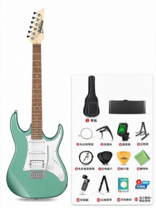 Ibanez | Beginner Friendly Electric Guitar