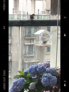 Transparent Bird Feeder Automatic Outdoor Hanging Acrylic Bird Feeder Drinker Bird Supplies For Window Garden Paddock