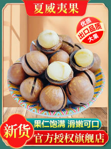 Hawaii Nuts Dried Fruits Snacks Creamy Flavor Pregnant Women Light Bites Leisure Food Seven Fruits under TianShan Brand