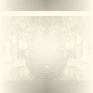 胜意彩色水晶塑料盆 - Victory Crystal Plastic Basin