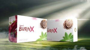 Spencers Burn X Fiber Flavour Strawberry Blackcurrant Raspberry - Chiaseed Flaxseeds Quinoa Soy Red Beet Powder Stevia Detoks Alami Tanpa Pencahar