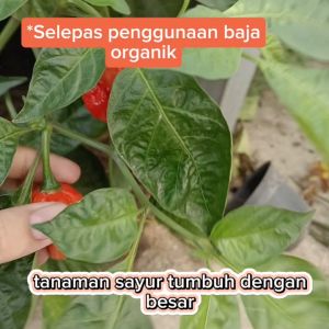 Baja Organik NPK 555 2kg/2.6kg/3.3kg Organic Fertilizer for Plants - Baja Durian Humic Acid - Natural/Organic Fertiliser with N5-P5-K5 - SHS KEBUN