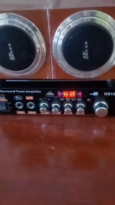 G919/G919H Bluetooth Audio Amplifier 800W 110V/220V FM SD HiFi bluetooth 5.0 Karaoke Home/Car Theater FM Full Bass Subwoofer